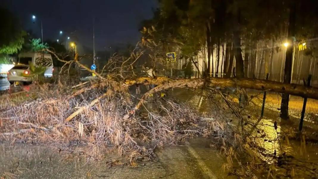 Alanya’da Gece Boyu Yağmur Mesaisi 2